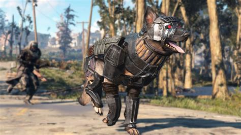 dogmeat in power armor|fallout 4 combat armor.